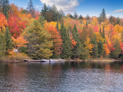 Where to See Fall Colours in Algonquin Provincial Park